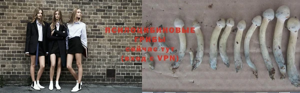 кокаин перу Белокуриха