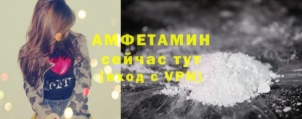 шишки Белоозёрский