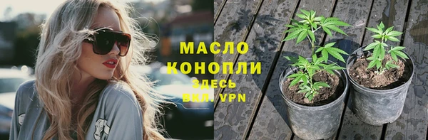 шишки Белоозёрский