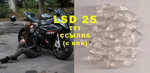 шишки Белоозёрский