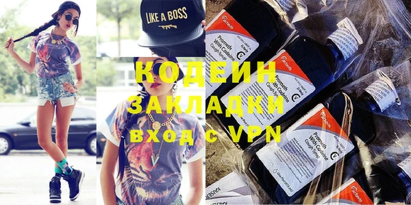 шишки Белоозёрский