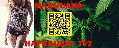 крисы Будённовск