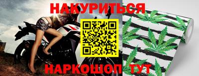 крисы Будённовск