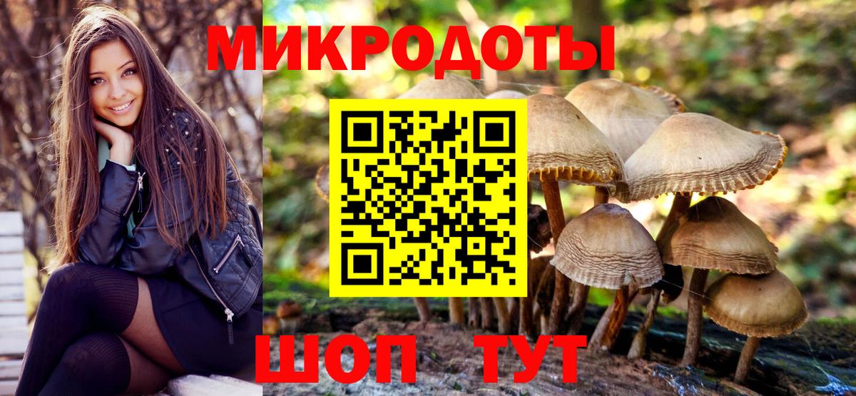 Гай  Псилоцибиновые грибы Psilocybine cubensis  Галлюциногенные грибы MAGIC MUSHROOMS  Вход с VPN 