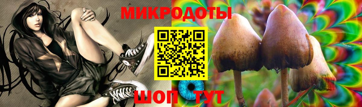 Псилоцибиновые грибы Psilocybe  Гай 