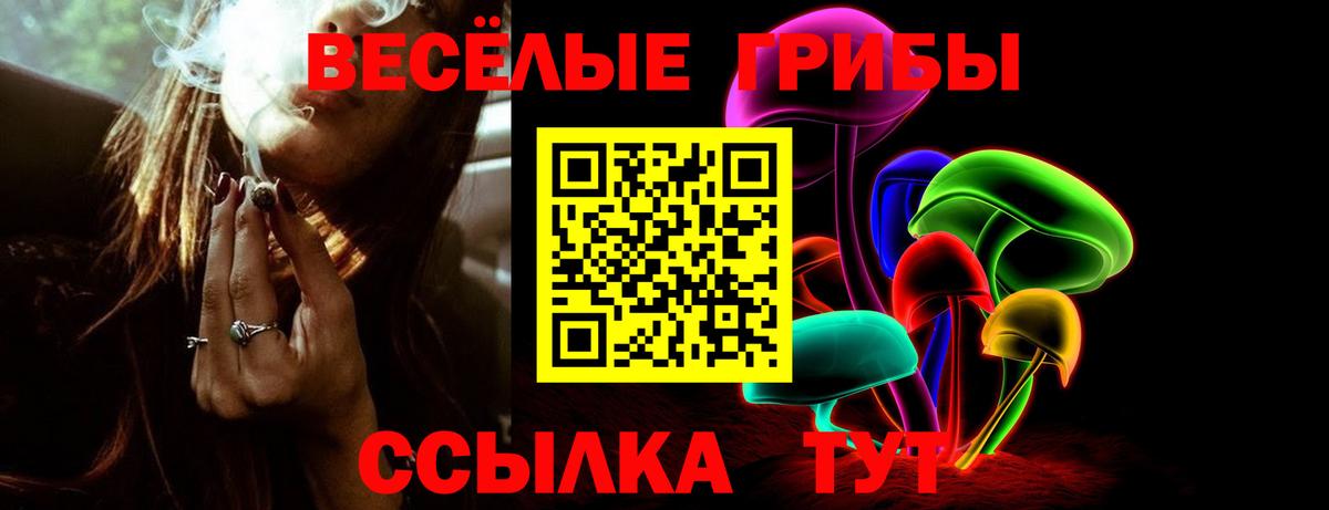 Псилоцибиновые грибы Cubensis Гай